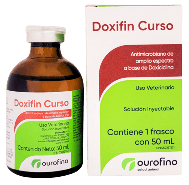 Doxifin Curso