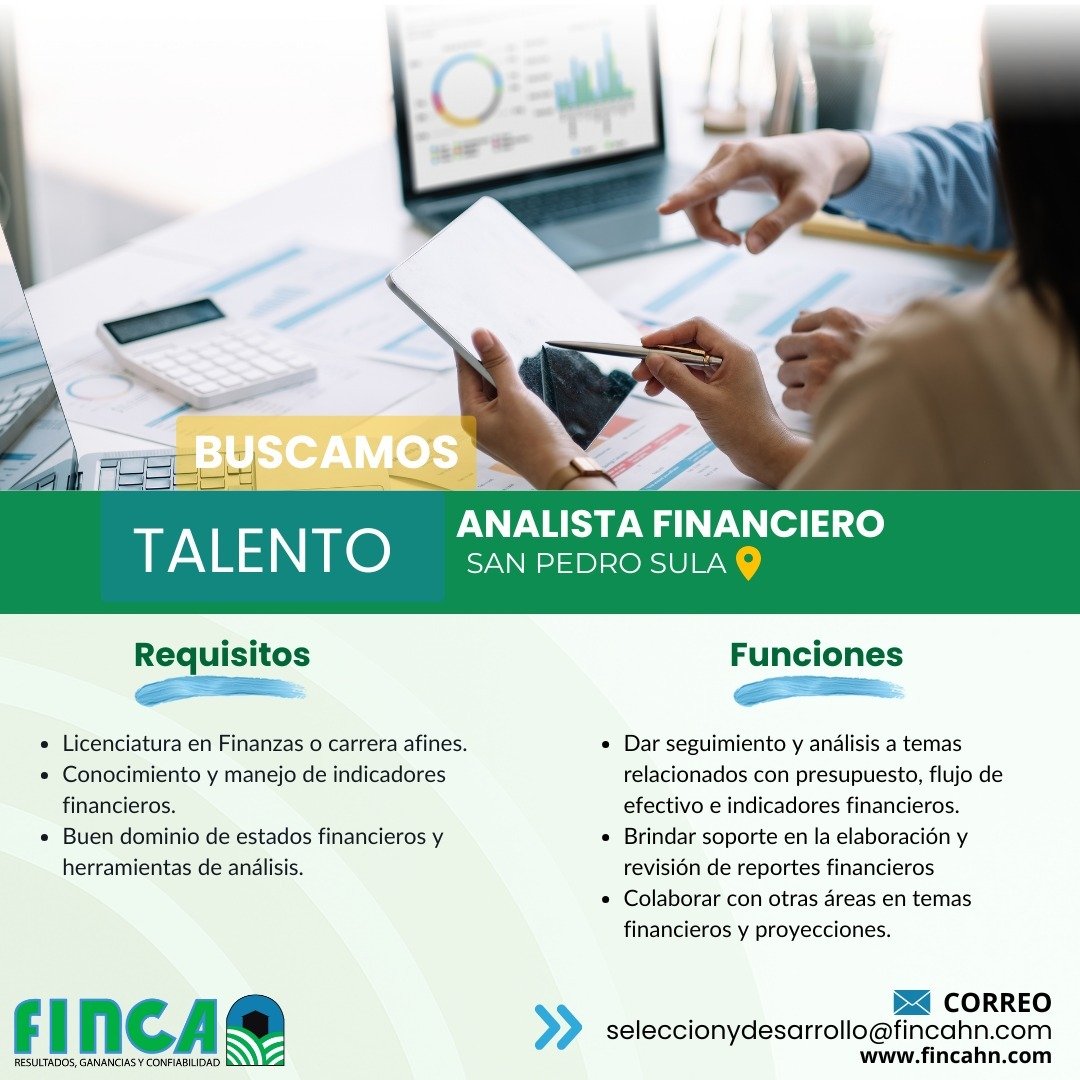 Analista Financiero