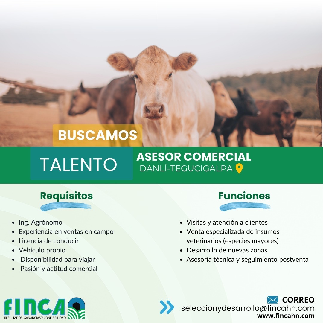 Asesor Comercial 2