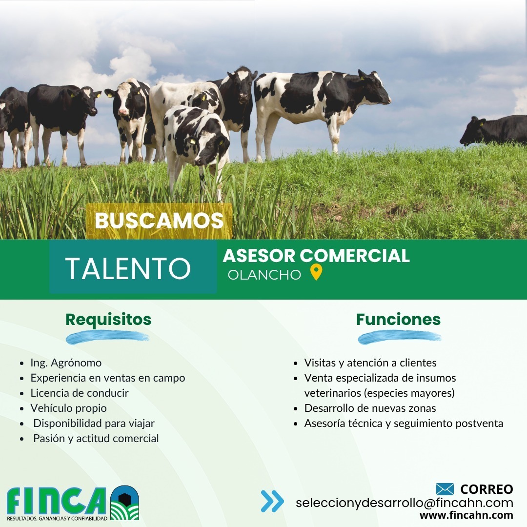 Asesor Comercial 3