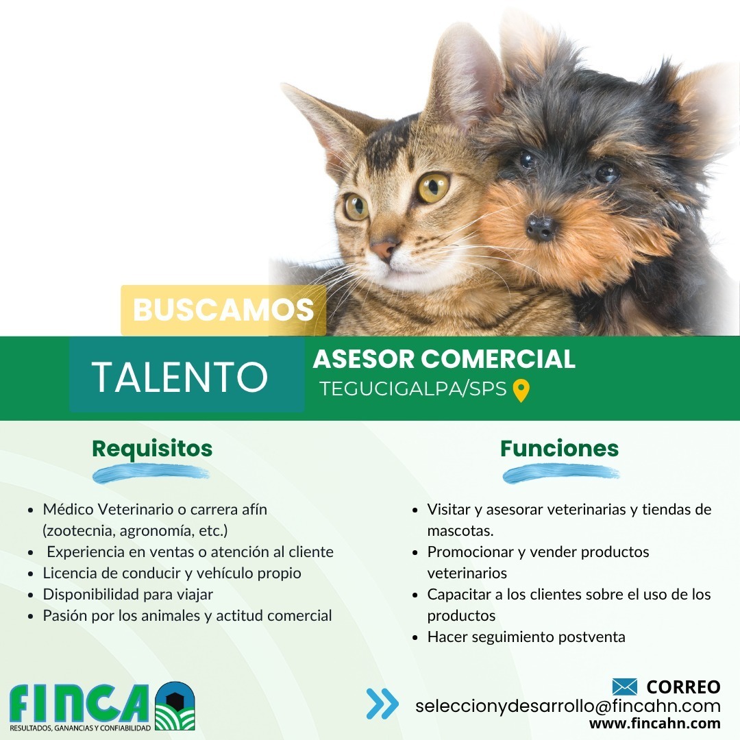 Asesor Comercial