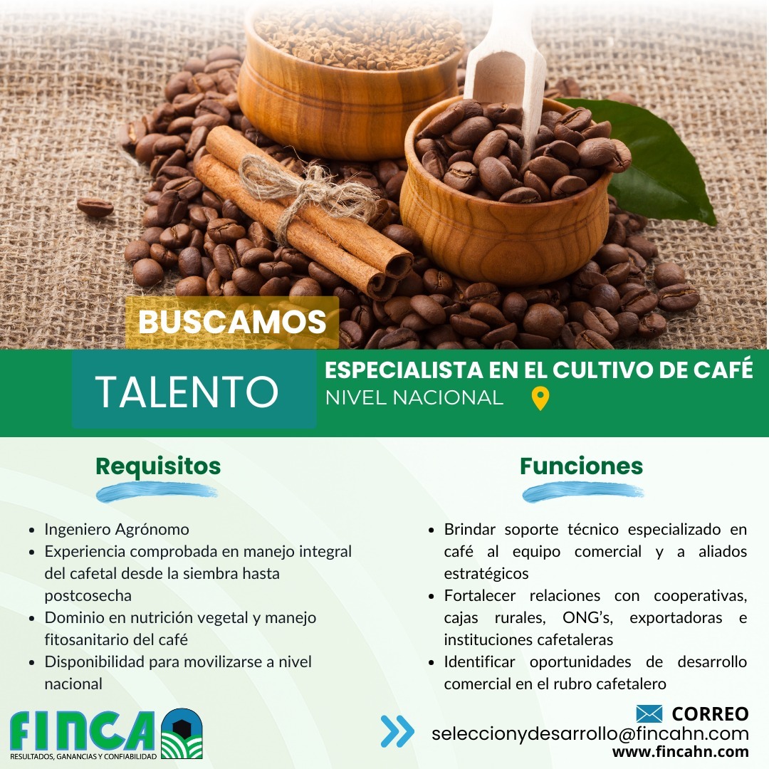 Desarrollador de Café
